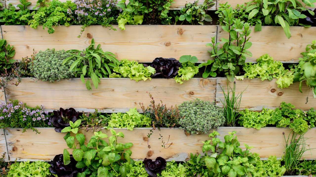 Horta Vertical de Pallet: Uma Abordagem Sustentável para o Cultivo