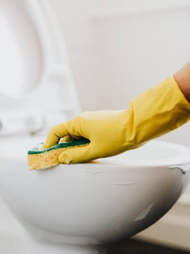 Como limpar o vaso sanitário sem produtos químicos