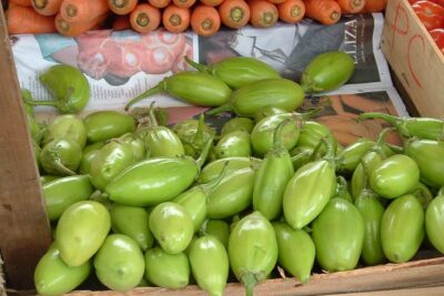 Tirar o Amargo do Jiló: Descubra o Método Infalível para Deixá-lo Delicioso em Suas Receitas