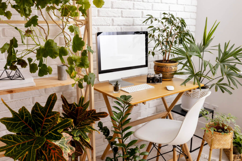 Plantas para Escritório