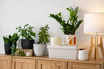 Plantas na Decoração: Transforme Seu Ambiente com Elegância e Estilo