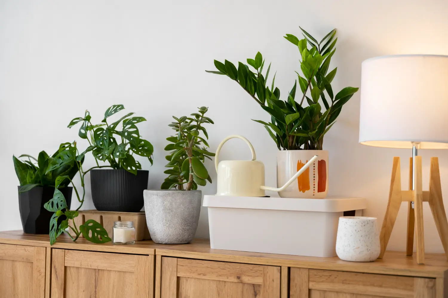 Plantas na Decoração