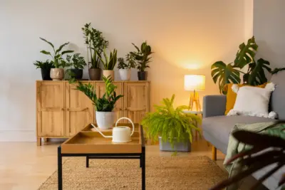 Plantas para Dentro de Casa: 12 dicas para Cada Ambiente