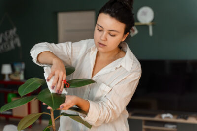 Como Podar Corretamente as Plantas para Ter um Jardim Exuberante